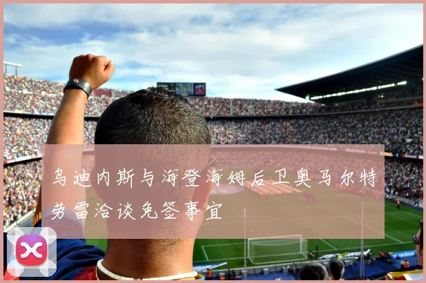 乌迪内斯与海登海姆后卫奥马尔特劳雷洽谈免签事宜